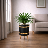 Draco Luxury Stand Planter Combo