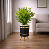 Dracaena Fragrans Massangeana Luxury Stand Planter Combo