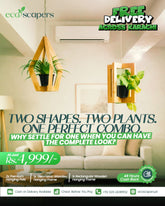 Wooden Hanging Planter Combo