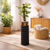 Elegant Syngonium Plant
