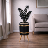 ZZ Black Luxury Stand Planter Combo