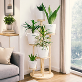 5-Tier Indoor Plant Stand ‚All Natural Wood
