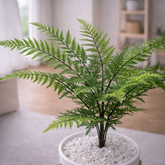 Lifelike Fern (Cream & Green) with Wooden Stand | Indoor Plant Décor Pakistan