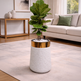 Fiddle Leaf Fig in Luxe Grande Planter