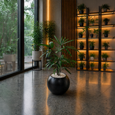 LADY PALM in OrbIX Planter