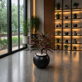 COROTON in OrbIX Planter