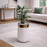 Lady Palm in Luxe Grande Planter