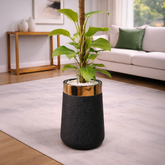 Philodendron in Luxe Grande Planter