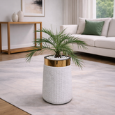 Phoenix Palm in Luxe Grande Planter