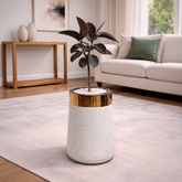 Rubber Plant in Luxe Grande Planter