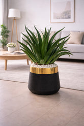 Agave Plant With Luxe Planter