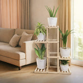 Indoor Green Living Combo Plants Pots & Wooden Stand