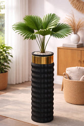 China Palm in Capsule Planter