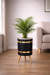 ARECA PALM – Luxury Stand Planter Combo