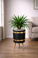 Draco – Luxury Stand Planter Combo