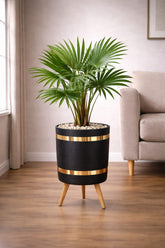 China Palm – Luxury Stand Planter Combo