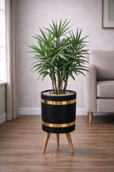 Lady Palm Plant – Luxury Stand Planter Combo