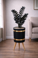 ZZ Black – Luxury Stand Planter Combo