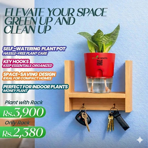 Ecoscapers Wall Planter Shelf with Key Holder