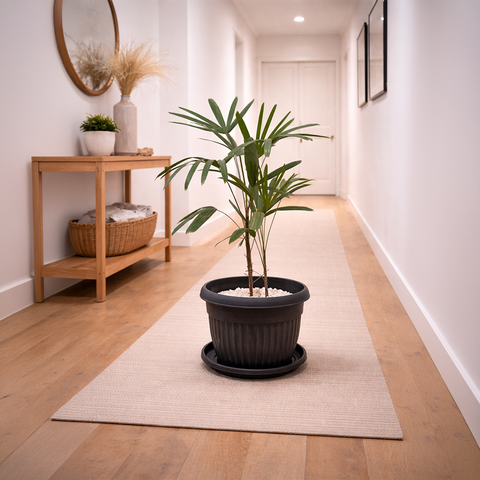 Lady Palm in Roma Ribbed Planter