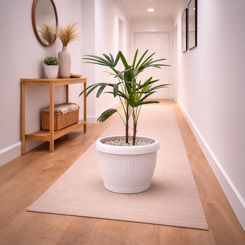 Lady Palm in Roma Ribbed Planter