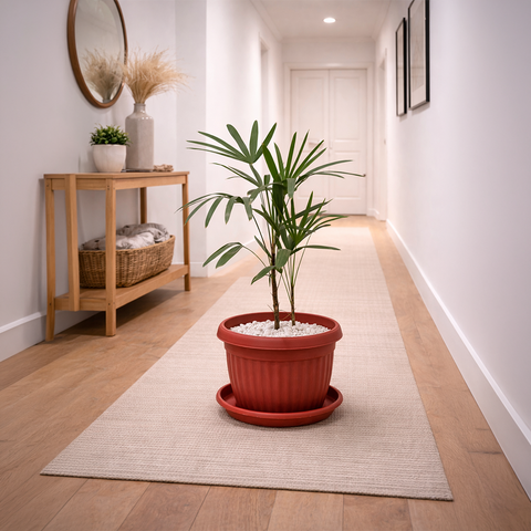 Lady Palm in Roma Ribbed Planter