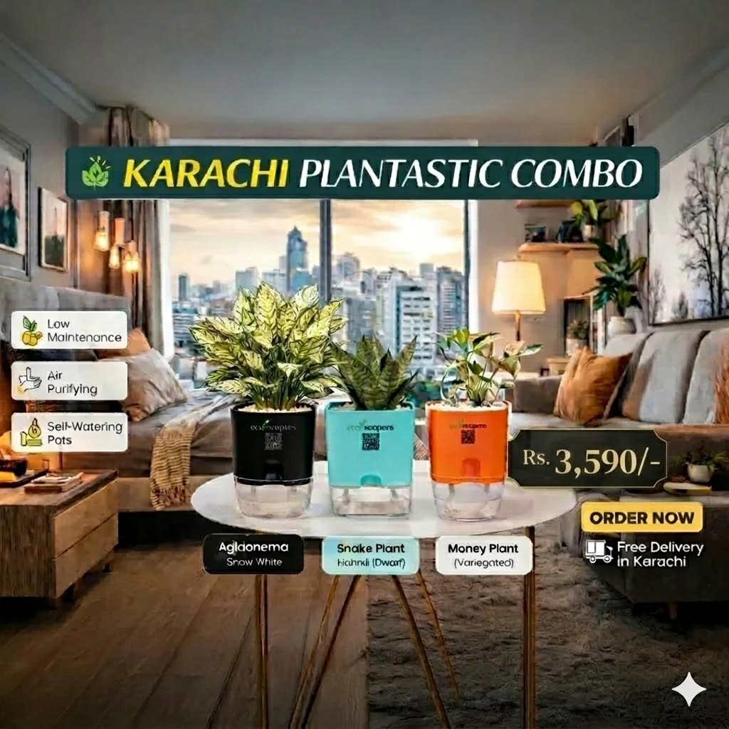 Karachi Plantastic Combo