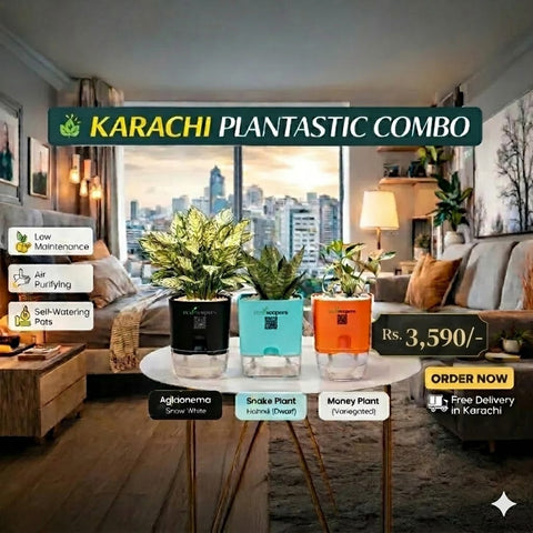 Karachi Plantastic Combo