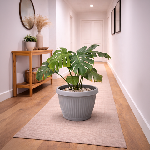 Monstera in Roma Ribbed Planter