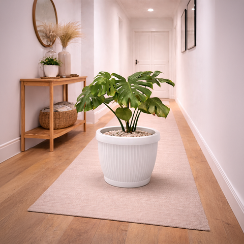 Monstera in Roma Ribbed Planter