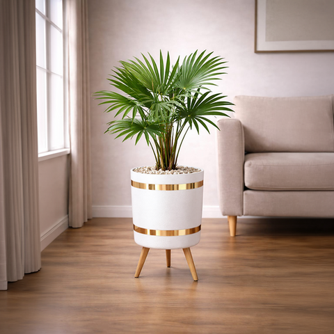 China Palm Luxury Stand Planter Combo