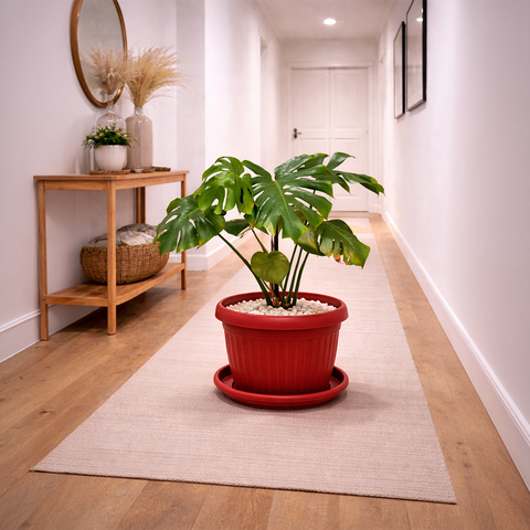 Monstera in Roma Ribbed Planter