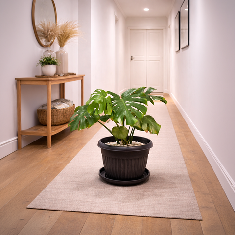 Monstera in Roma Ribbed Planter