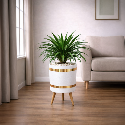Draco Luxury Stand Planter Combo