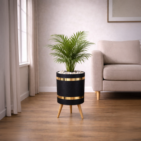 ARECA PALM Luxury Stand Planter Combo