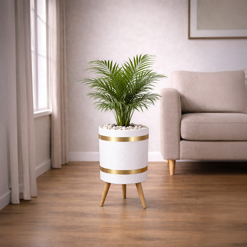 ARECA PALM Luxury Stand Planter Combo