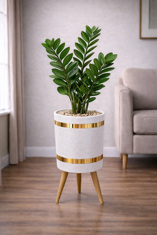 ZZ Green – Luxury Stand Planter Combo