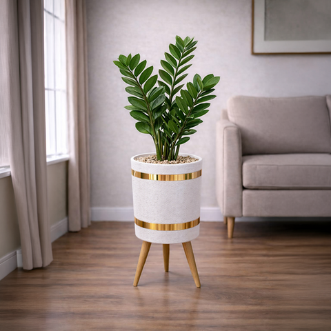 ZZ Green Luxury Stand Planter Combo