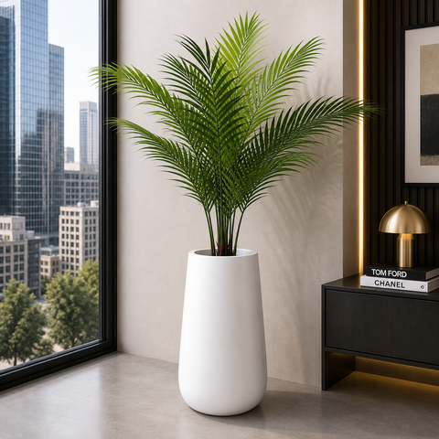 Areca Plant (PL1089) With Planter