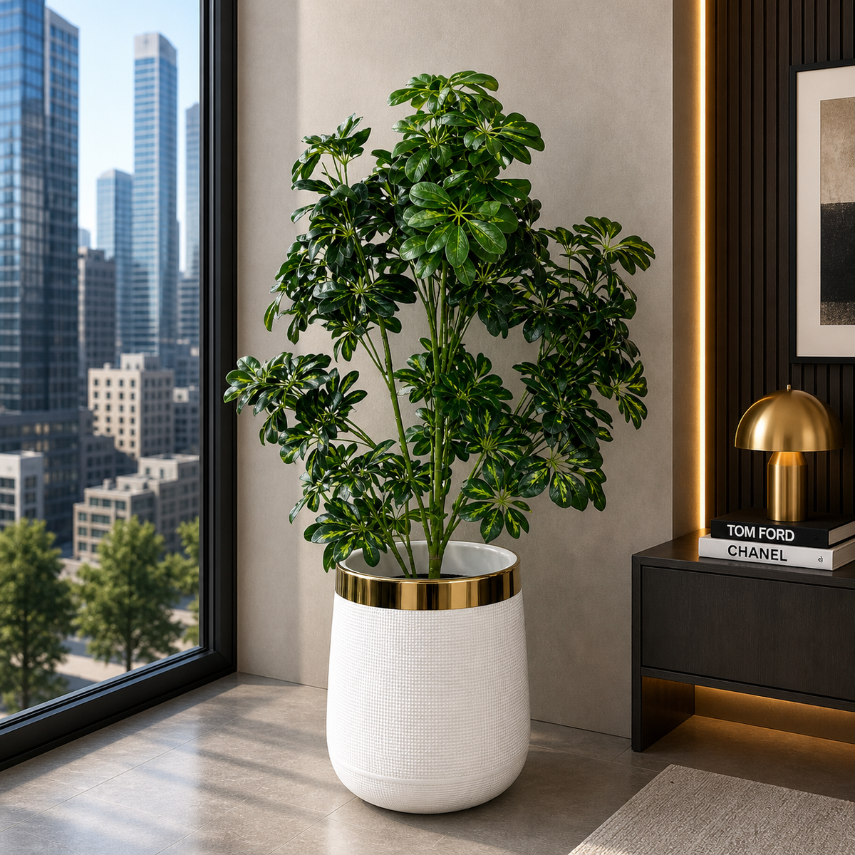 Cheecho Plant With Planter