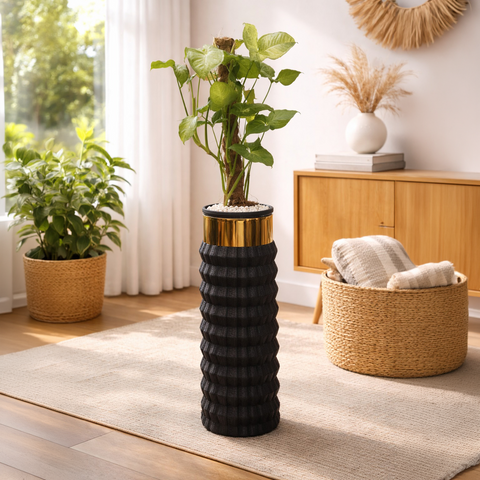 Syngonium