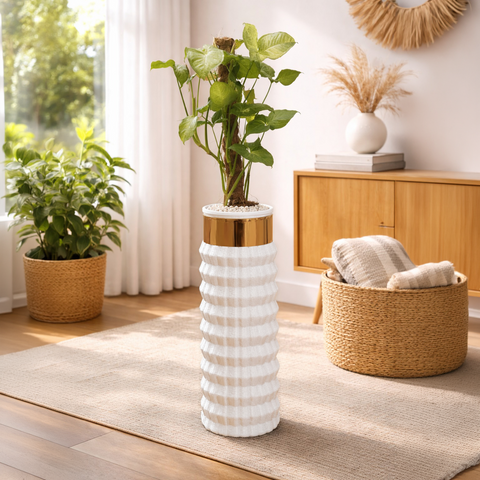 Syngonium