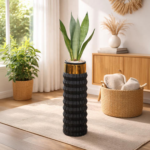 Sansevieria Snake Moonlight