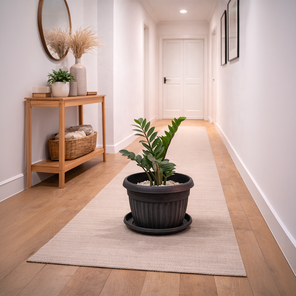 Zamioculcas Zamiifolia (ZZ Plant) in Roma Ribbed Planter
