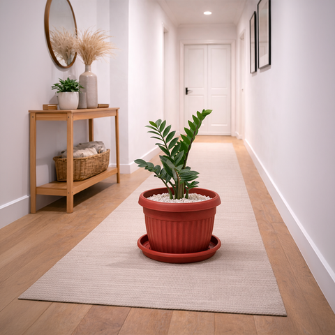 Zamioculcas Zamiifolia (ZZ Plant) in Roma Ribbed Planter