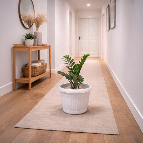 Zamioculcas Zamiifolia (ZZ Plant) in Roma Ribbed Planter