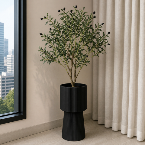 Olive Plant With Planter