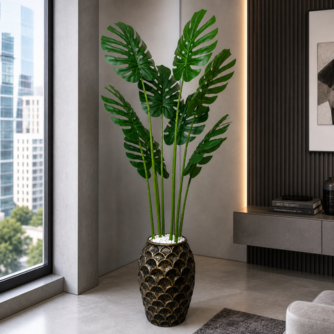 Mostera Plant With Planter