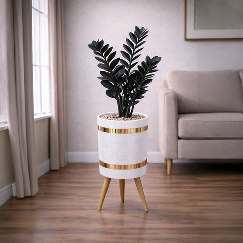 ZZ Black Luxury Stand Planter Combo