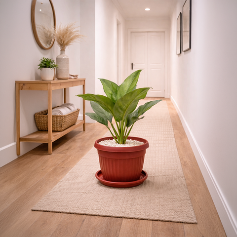 Aglaonema Green in Roma Planter